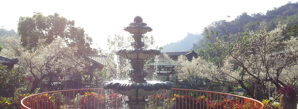 20140110_150716 20140110_150716