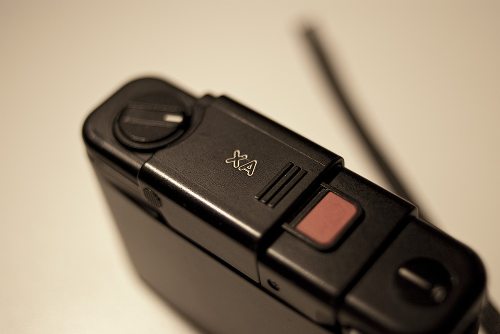 DSC_6633.jpg DSC_6633.jpg