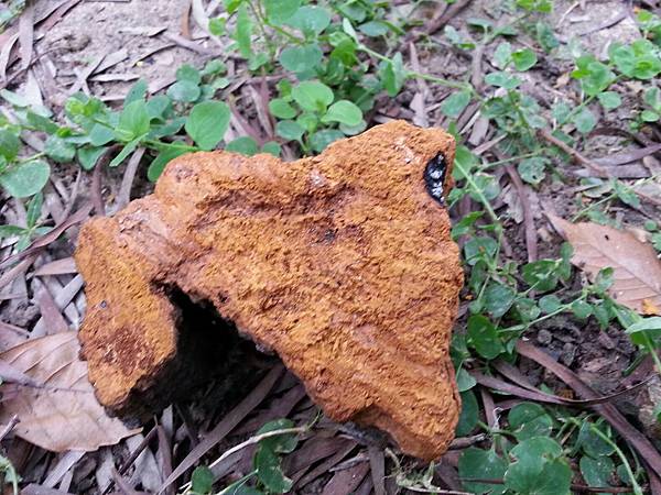 20140927_140543 20140927_140543