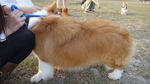 DSC01166.JPG DSC01166.JPG