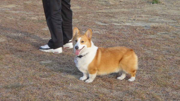 DSC01055.JPG DSC01055.JPG