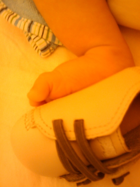 小牛何時才能穿鞋阿？