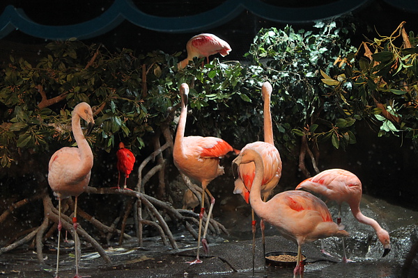 IMG_1006.JPG IMG_1006.JPG