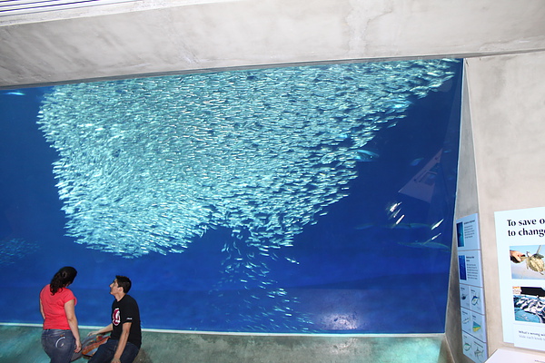 IMG_1037.JPG IMG_1037.JPG