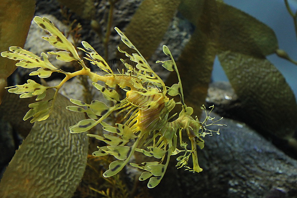 IMG_1028.JPG IMG_1028.JPG