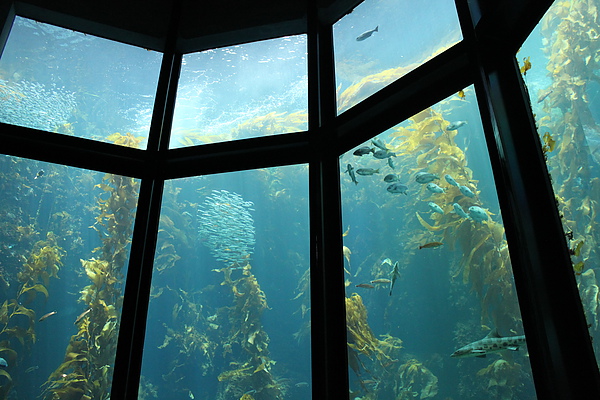 IMG_0916.JPG IMG_0916.JPG