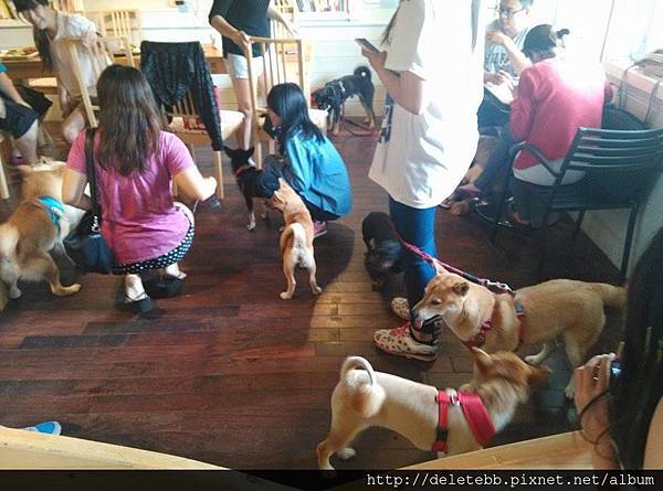 10354723_784063048278935_4930220177020337125_n 10354723_784063048278935_4930220177020337125_n