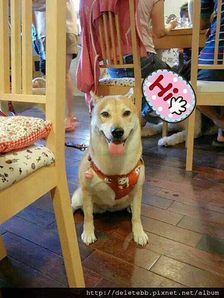 10449598_784580224893884_318501886_n 10449598_784580224893884_318501886_n