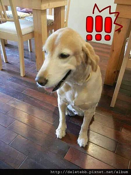 10438761_784580261560547_208432814_n 10438761_784580261560547_208432814_n