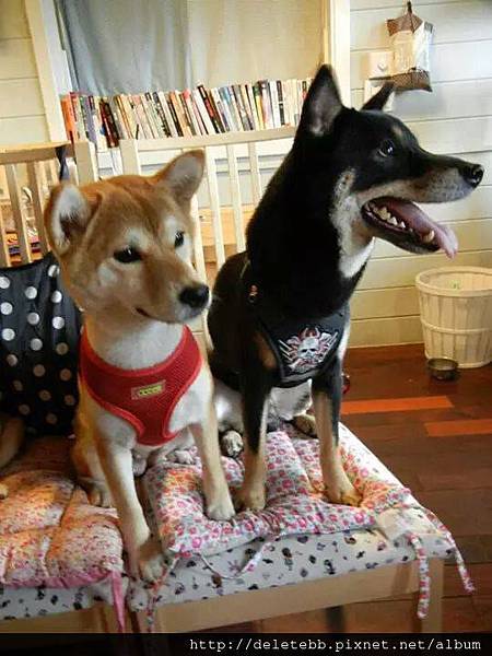 10423410_784580264893880_4714864_n 10423410_784580264893880_4714864_n