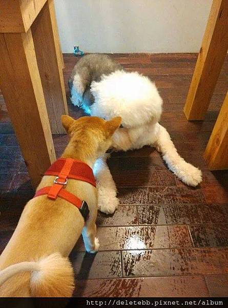 10439640_784580274893879_1794103389_n 10439640_784580274893879_1794103389_n