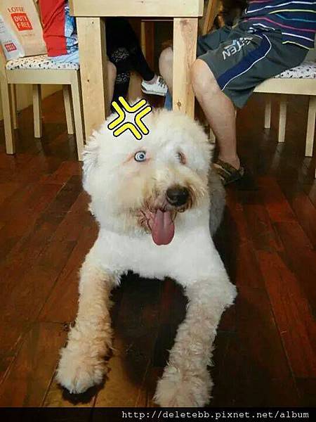 10439724_784580218227218_914974237_n 10439724_784580218227218_914974237_n