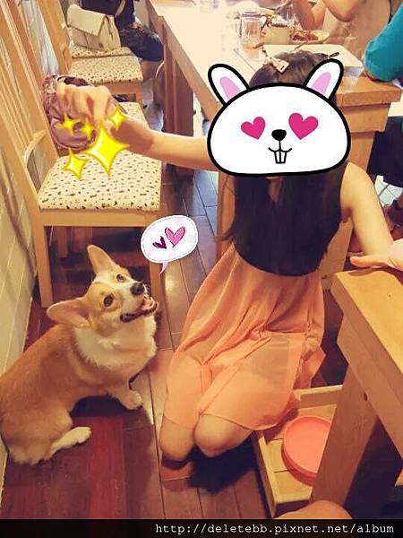 10447335_784580244893882_300316410_n (1) 10447335_784580244893882_300316410_n (1)