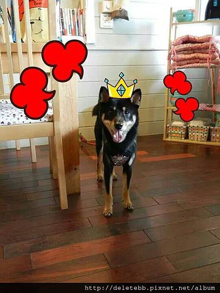 10437203_784580211560552_1816634043_n 10437203_784580211560552_1816634043_n