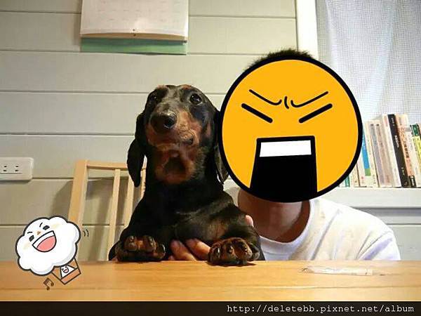 10439553_784580214893885_1330338395_n 10439553_784580214893885_1330338395_n