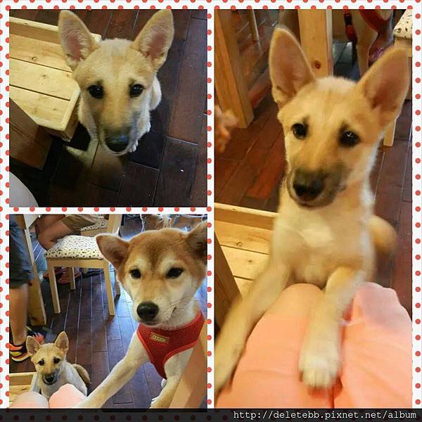 10438777_784580258227214_1950223606_n 10438777_784580258227214_1950223606_n