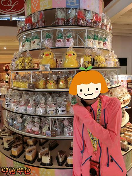 PhotoCap_CIMG1718_meitu_2