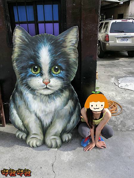 PhotoCap_CIMG1754_meitu_11