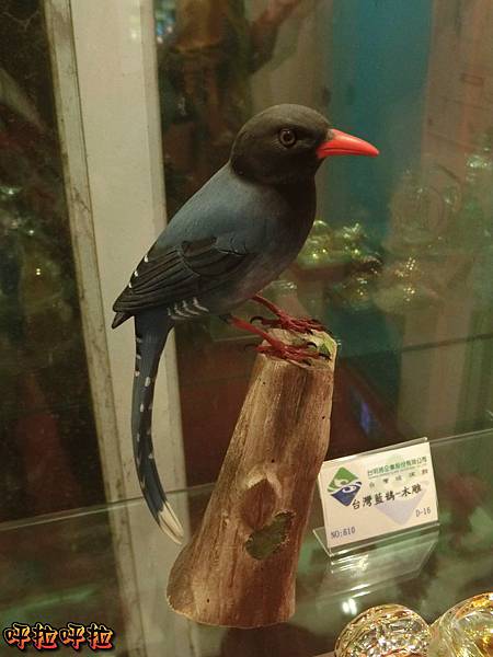 PhotoCap_CIMG1864 PhotoCap_CIMG1864