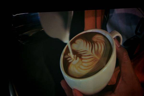 DSC_0089_副本.jpg DSC_0089_副本.jpg