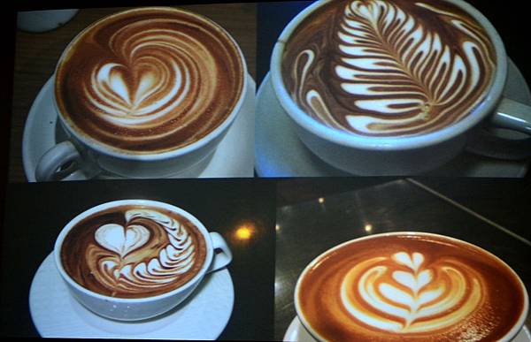 DSC_0091_副本.jpg DSC_0091_副本.jpg