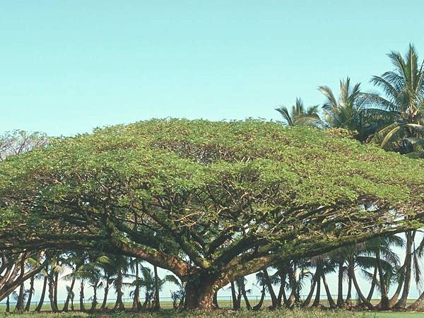 landscape012-b.jpg landscape012-b.jpg