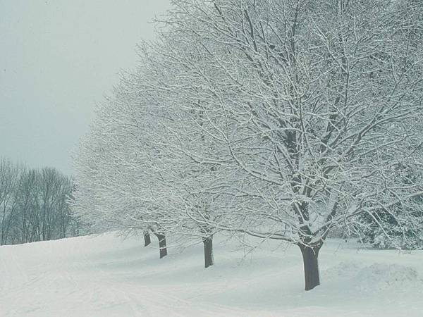 landscape015-b.jpg landscape015-b.jpg