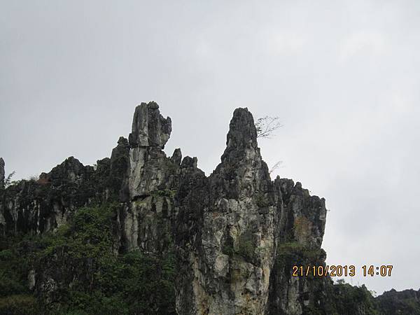 IMG_0950.JPG IMG_0950.JPG