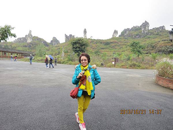 IMG_2991.JPG IMG_2991.JPG