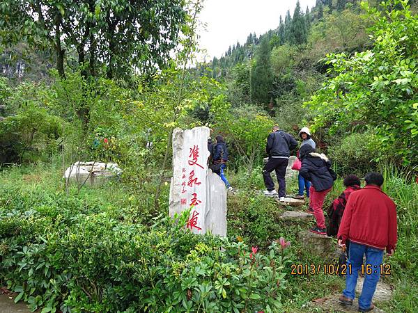 IMG_3046.JPG IMG_3046.JPG