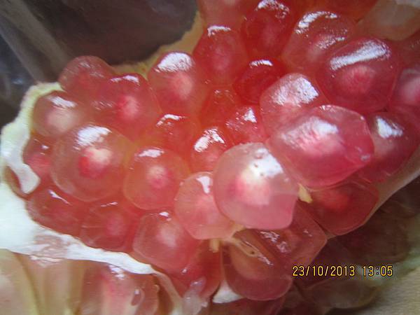 IMG_1090.jpg IMG_1090.jpg