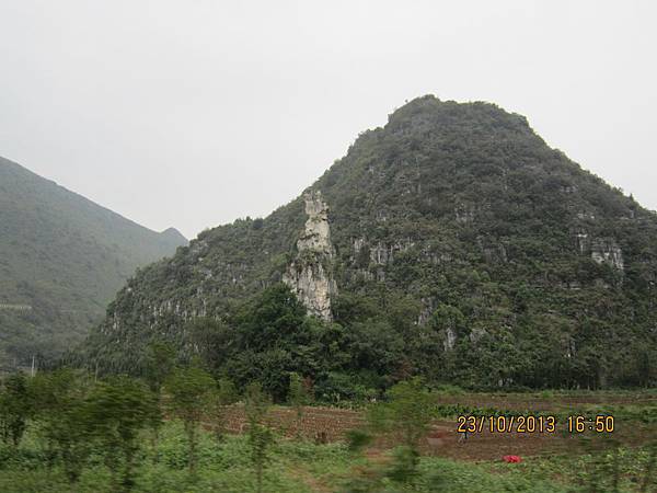 IMG_1137.JPG IMG_1137.JPG