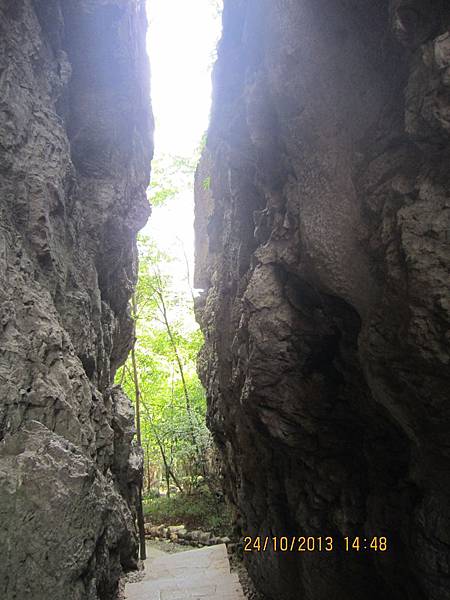 IMG_1155.JPG IMG_1155.JPG