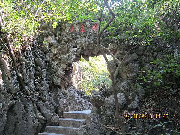 IMG_1154.JPG IMG_1154.JPG