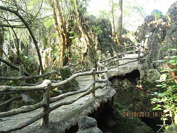 IMG_1176.JPG IMG_1176.JPG