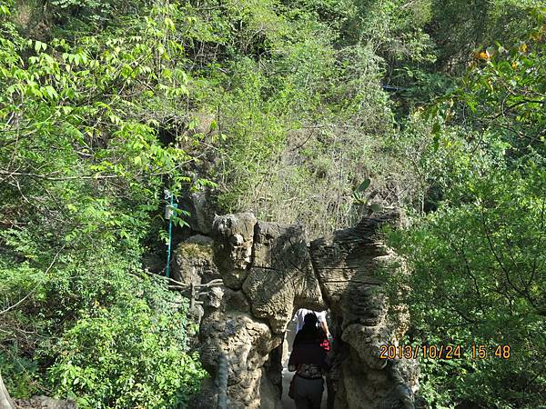 IMG_3337.JPG IMG_3337.JPG