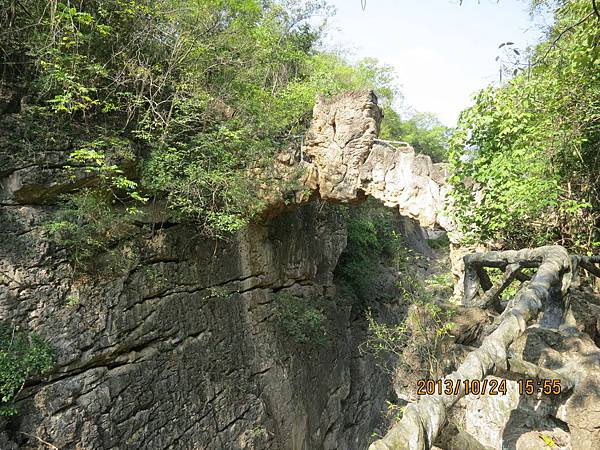 IMG_3347.JPG IMG_3347.JPG