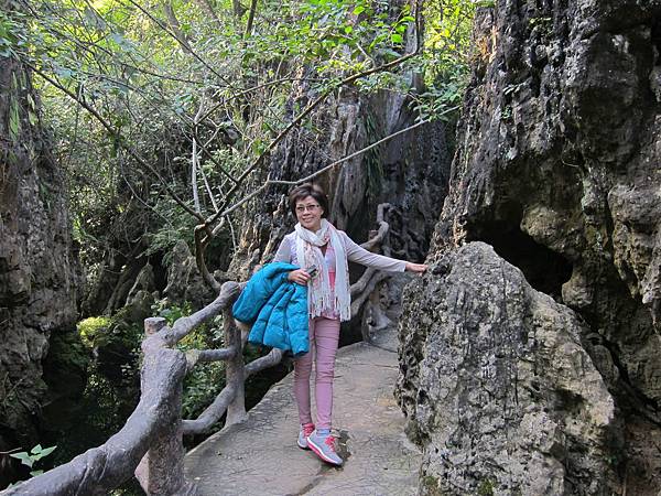 IMG_3445.JPG IMG_3445.JPG