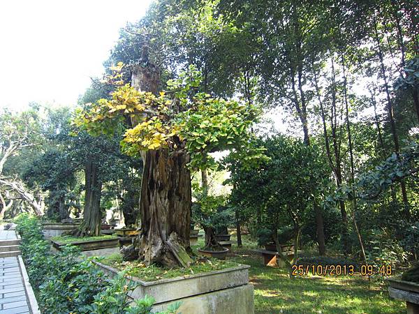 IMG_1209.JPG IMG_1209.JPG