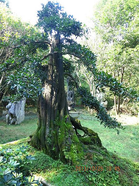 IMG_3452.JPG IMG_3452.JPG