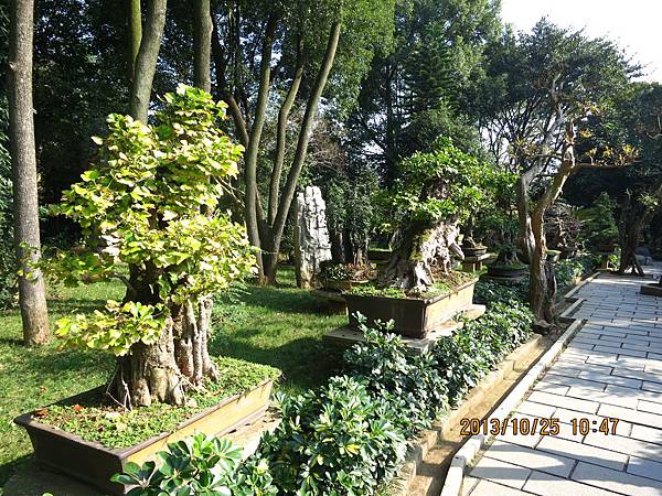 IMG_3461.JPG IMG_3461.JPG