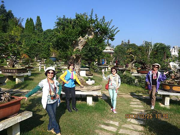 IMG_3465.JPG IMG_3465.JPG