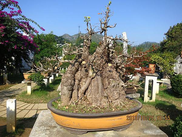 IMG_3472.JPG IMG_3472.JPG