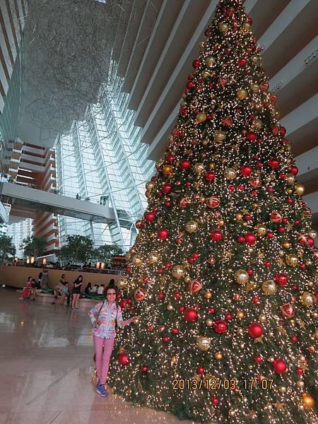 IMG_3829.JPG IMG_3829.JPG