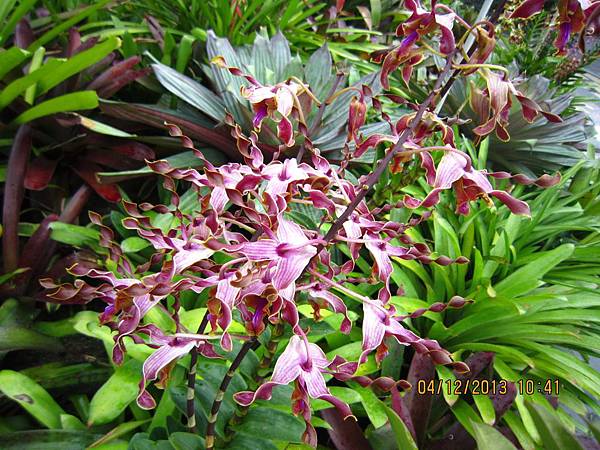 IMG_1552.JPG IMG_1552.JPG