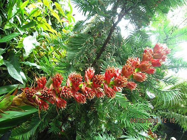 IMG_1603.JPG IMG_1603.JPG