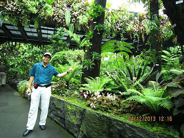 IMG_1604.JPG IMG_1604.JPG