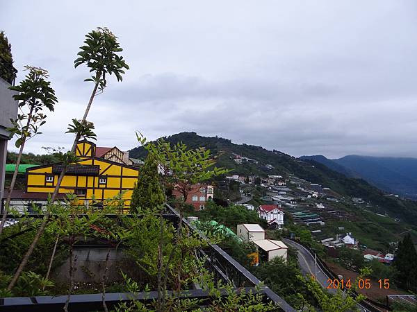 DSC08269.JPG DSC08269.JPG