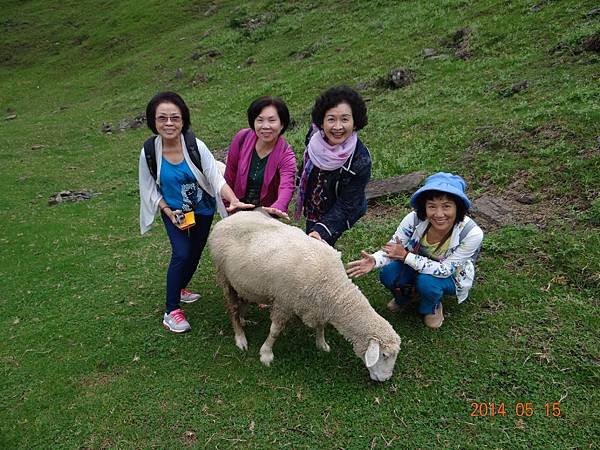 DSC08357.JPG DSC08357.JPG