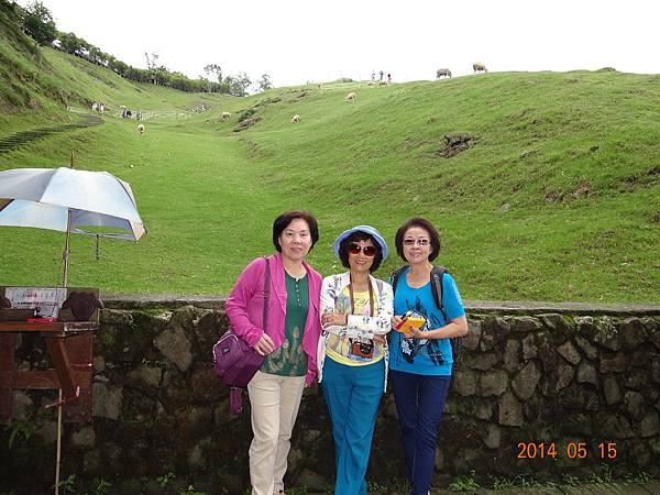 DSC08425.JPG DSC08425.JPG